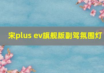 宋plus ev旗舰版副驾氛围灯